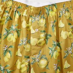 Organic Cotton Boxer Shorts