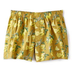 Organic Cotton Boxer Shorts