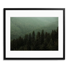 Evergreen - Huckberry Archives
