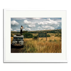 Elephants Right of Way Framed Print