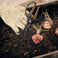 Large Garden Scissors