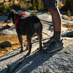 Trail 2650 3" Sneaker