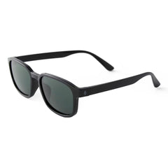 Sunseekers Sunglasses