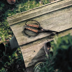 Large Garden Scissors