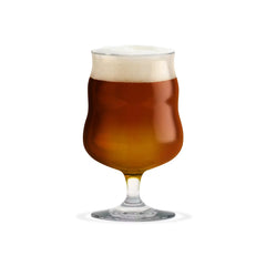 Holmegaard x Mikkeller Universal Beer Glass-Set of 2