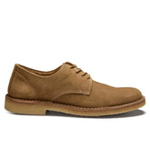 Cityflex Derby
