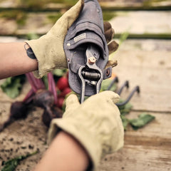 Pruner & Sheath