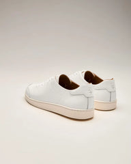 Terra Low Sneaker
