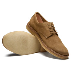 Cityflex Derby