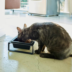 Pet Bowls with Stand