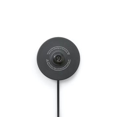 Balmuda Kettle