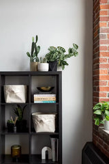 Small Canvas Storage Bin