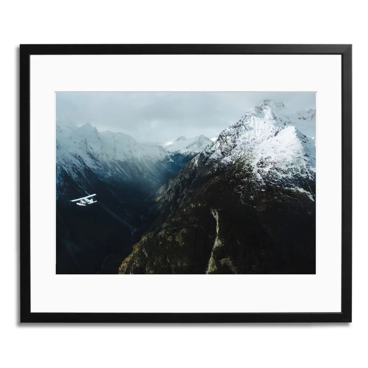 Great Bear Rainforest - Huckberry Archives