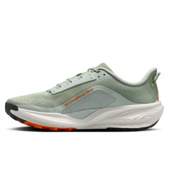 ACG Pegasus