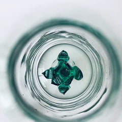 Hand Blown Agave Decanter