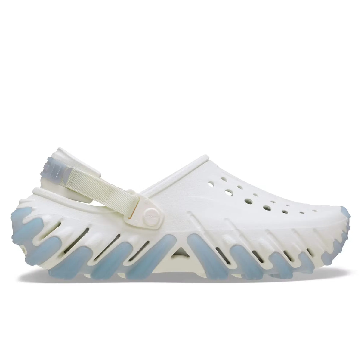 Echo RO Clog