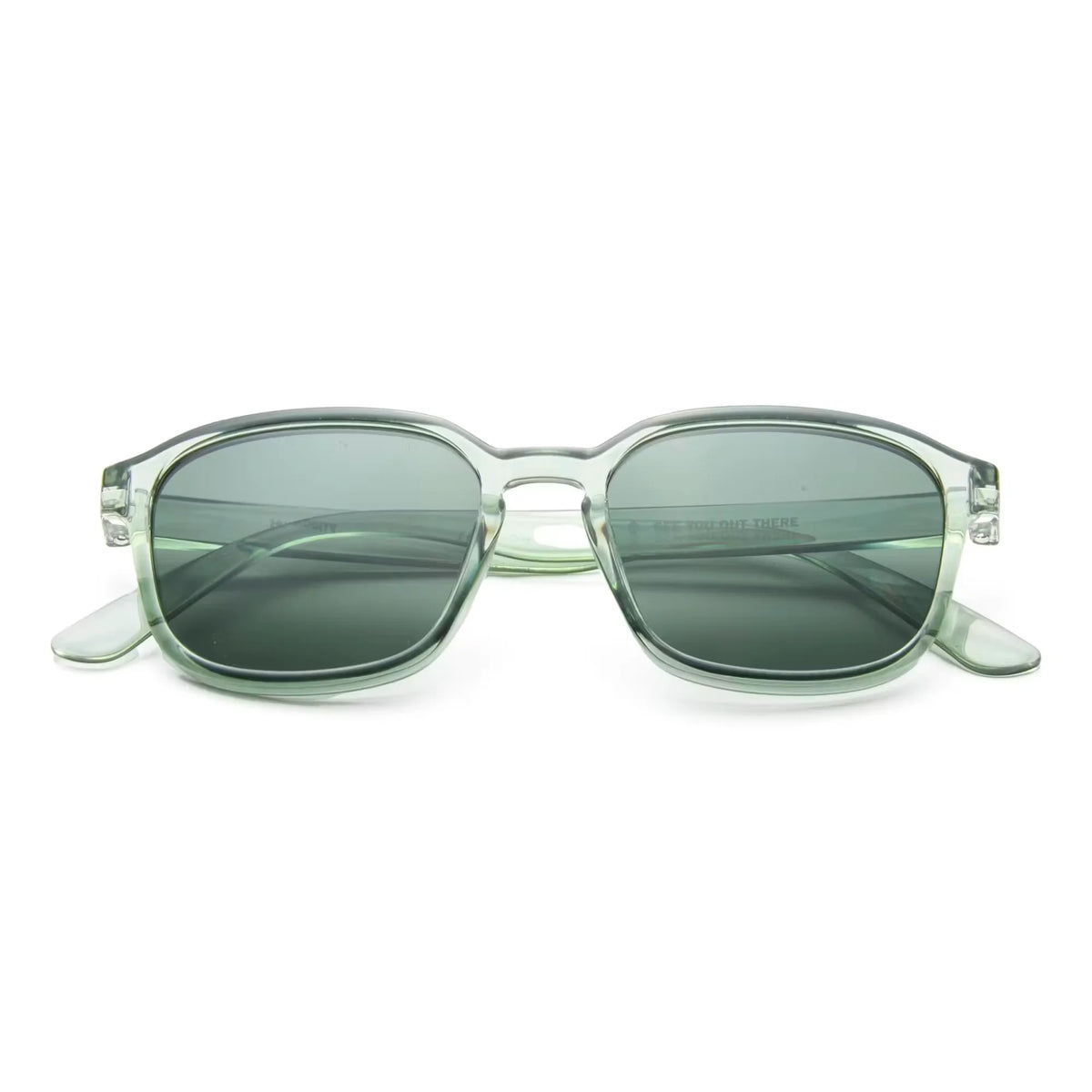 Sunseekers Sunglasses