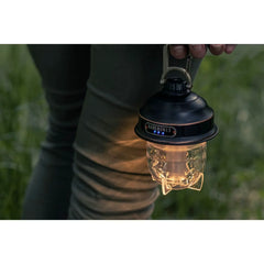 Beacon Hanging Light Lantern