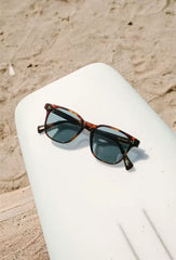Alvez Polarized Sunglasses