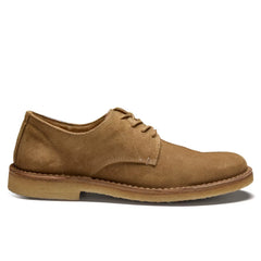 Cityflex Derby