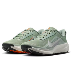 ACG Pegasus