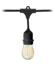Ambience Pro LED Plug-In String Lights - 48 ft